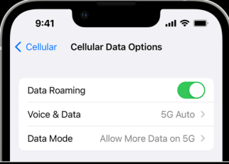 How to fix extended network sprint on Verizon and others
